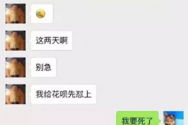 白下贷款清欠服务